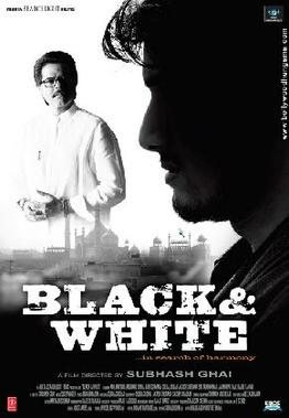 Black and White poster