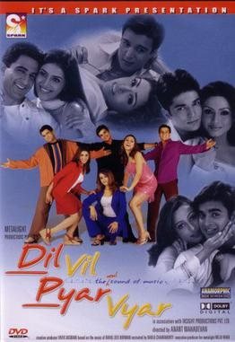Dil Vil Pyar Vyar poster