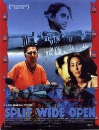 Split Wide Open poster