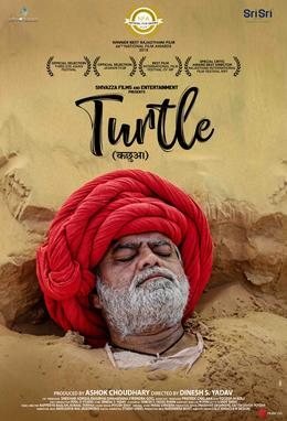 Turtle poster